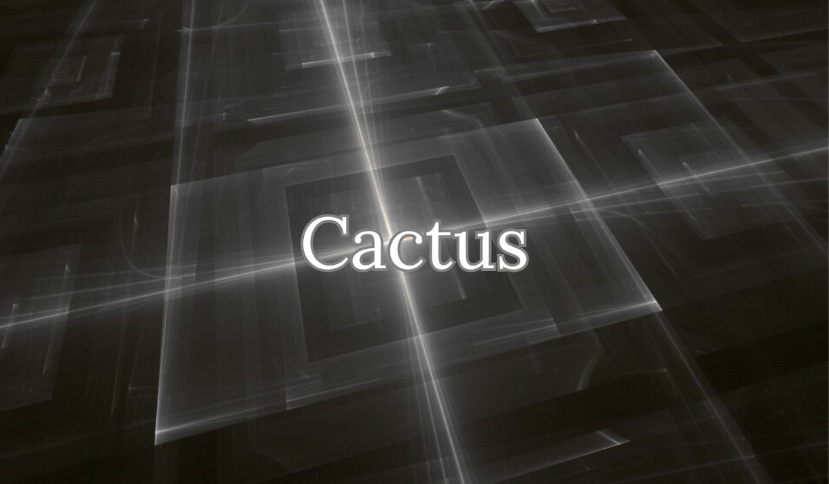 cactus ai