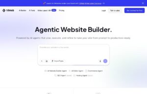 10Web screenshot 1