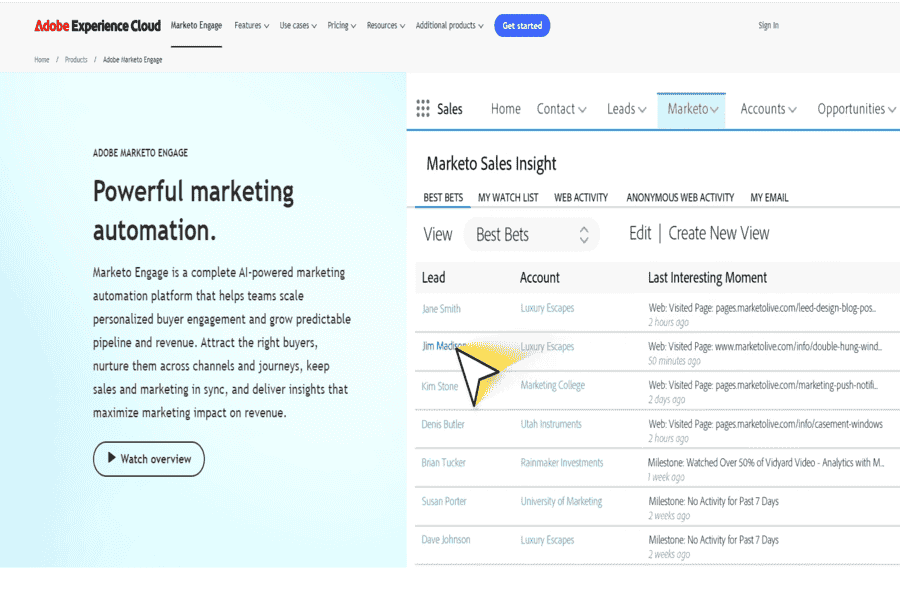 Adobe Marketo Engage platform