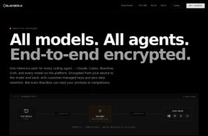 Blackbox AI screenshot 1