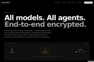 Blackbox AI screenshot 1