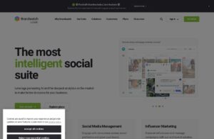 Brandwatch screenshot 1