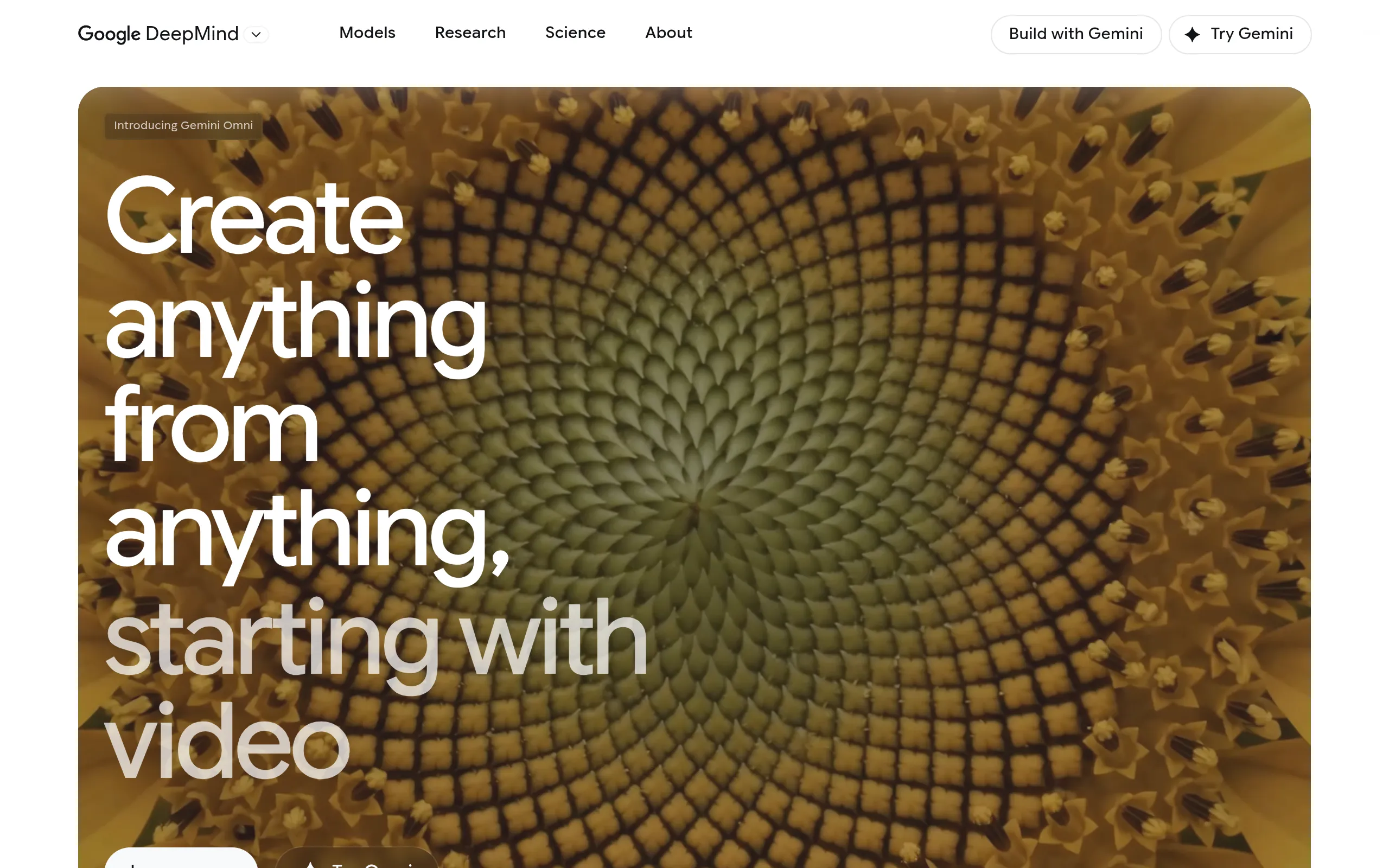 google-veo-ai-video-generator-cinematic-output-page