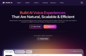 Murf AI screenshot 1