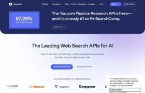 You.com screenshot 1