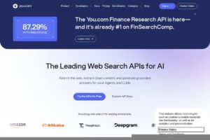 You.com screenshot 1