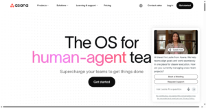 Asana screenshot 1