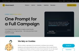 Bloomreach screenshot 1