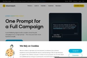 Bloomreach screenshot 1