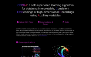 Cebra screenshot 1