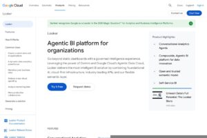 Google Looker screenshot 1