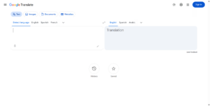 Google Translate screenshot 1