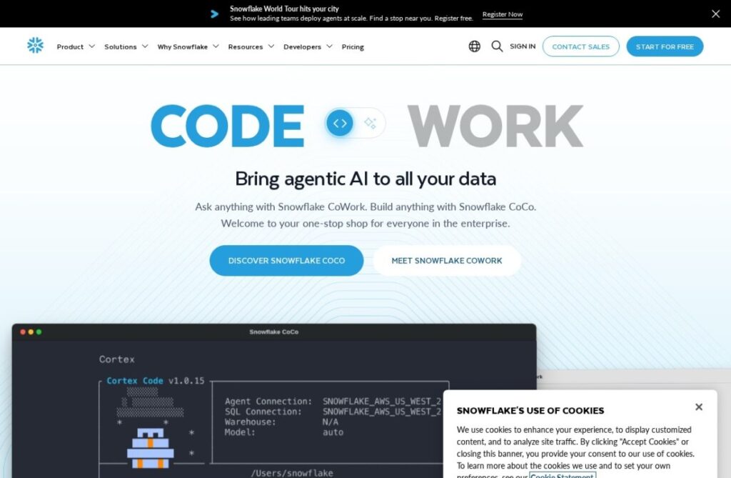 Snowflake Cortex Analyst screenshot 1