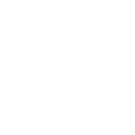 Turbolearn AI