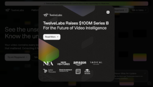 Twelve Labs screenshot 1