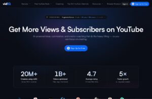 VidIQ screenshot 1