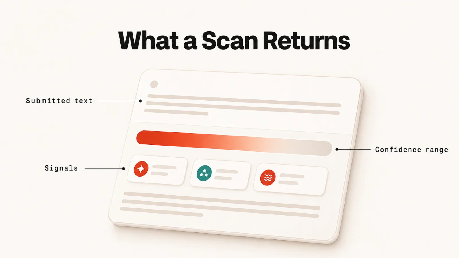 What a Scan Returns