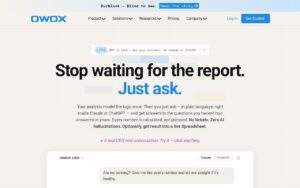 OWOX BI screenshot 1