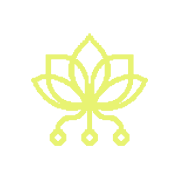 Pollinations