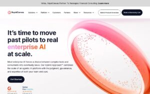 RapidCanvas screenshot 1