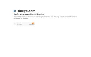 TinEye screenshot 1