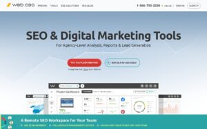 WebCEO screenshot 1