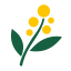 Wattle AI